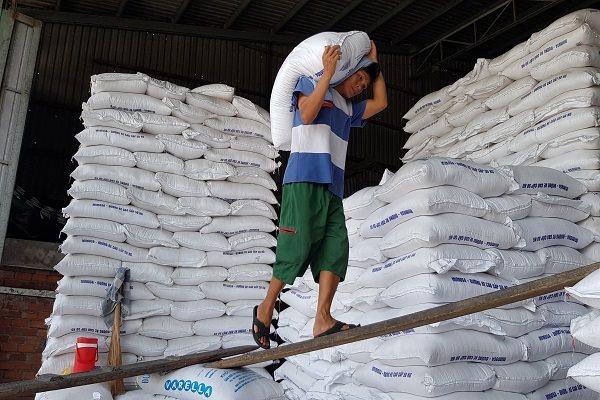 Chính phủ đồng ý cho xuất khẩu 400.000 tấn gạo trong tháng 4-2020. Ảnh: Trung Chánh