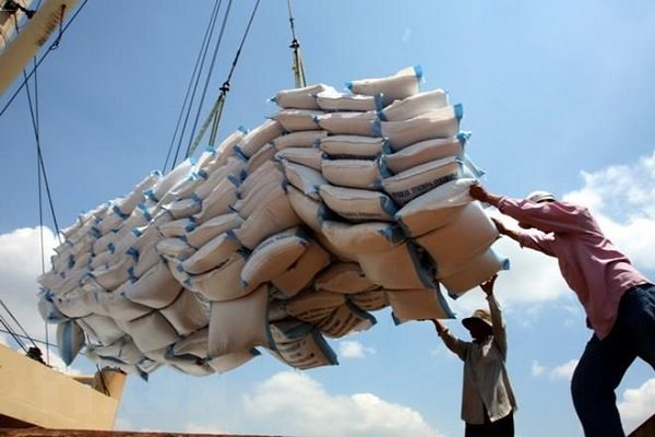 EVFTA đưa hạn ngạch cho gạo Việt Nam xuất vào thị trường EU là 80.000 tấn/năm. Ảnh: TTXVN
