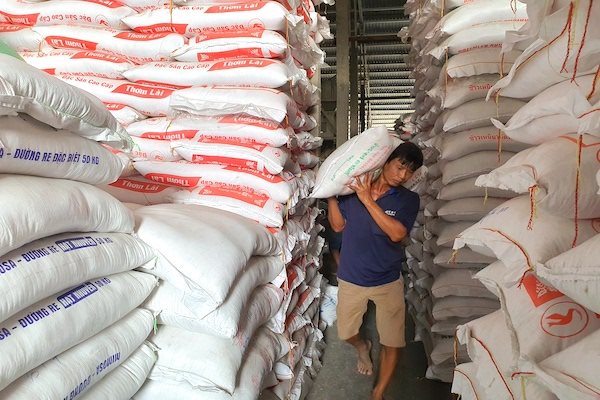 VIệt Nam trúng thầu bán hơn 11.000 tấn gạo cho Hàn Quốc. Ảnh: Trung Chánh