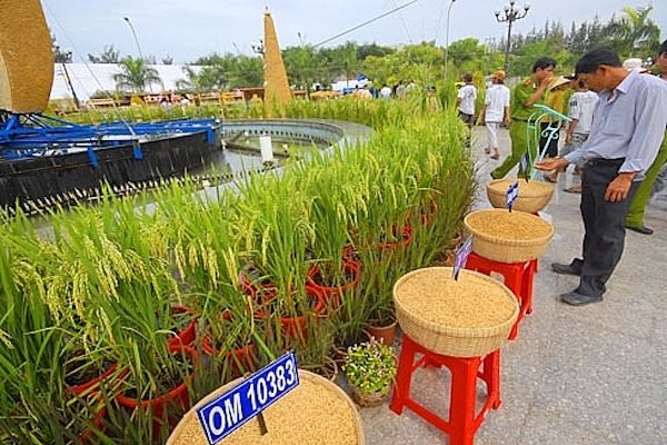 Khách tham quan Festival lúa gạo lần thứ 4. Ảnh: congthuong.vn