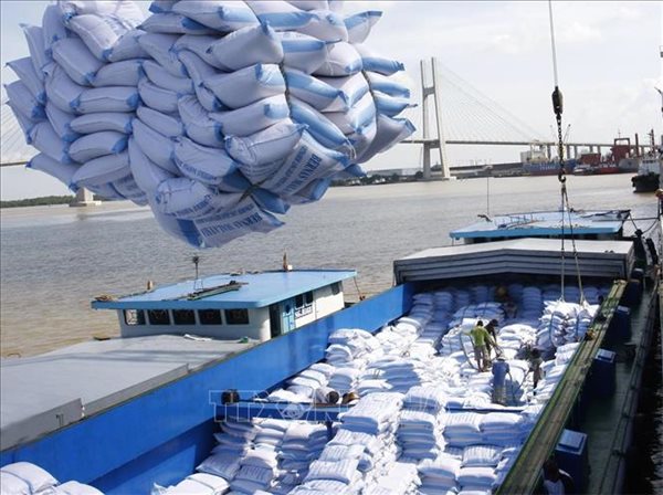 Bốc xếp gạo xuất khẩu tại cảng Sài Gòn. Ảnh: TTXVN