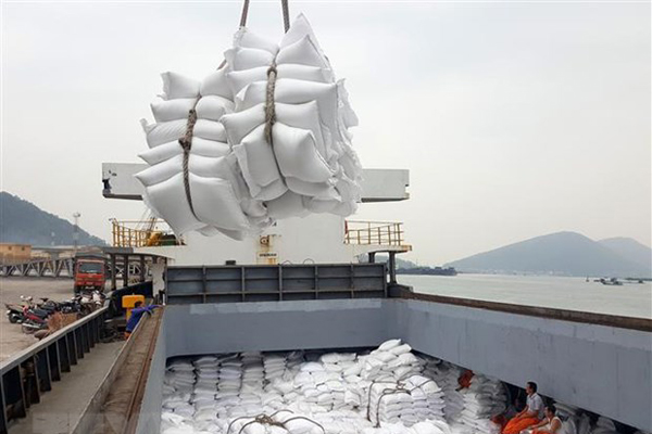 Việc cảng Tân Cảng Hiệp Phước (TP. HCM) tạm ngừng dịch vụ đóng rút gạo tại cảng sà lan của đơn vị này sẽ ảnh hưởng đến xuất khẩu gạo. Ảnh minh họa: TTXVN