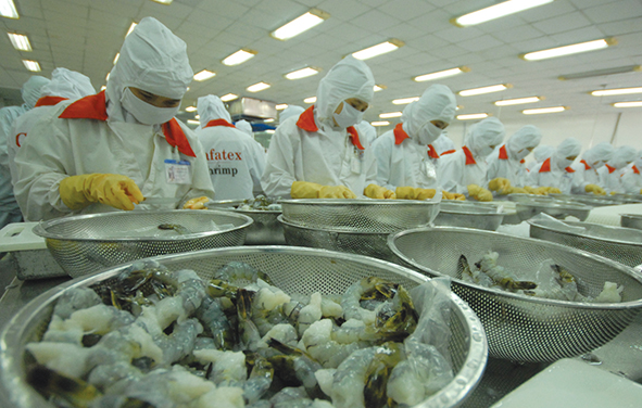 Việt Nam hiện cung cấp một lượng đáng kể thủy sản cho thế giới nên nếu sản phẩm có tính cạnh tranh cao hơn nữa, thì sẽ giành được thị phần tốt hơn ở thị trường nước ngoài. Ảnh minh họa: TTXVN
