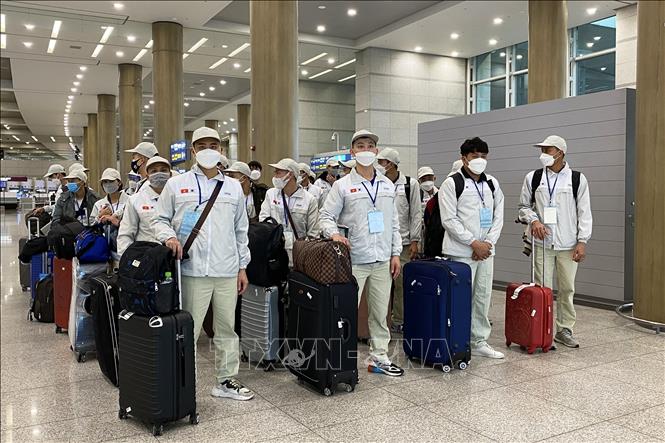 Ngày 17/3/2022, Hàn Quốc tiếp nhận gần 100 lao động Việt Nam theo Chương trình cấp phép việc làm cho lao động nước ngoài (gọi tắt là lao động EPS) nhập cảnh tại sân bay Quốc tế Incheon.