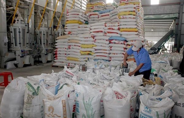 Philippines thường nhập khẩu gạo từ Việt Nam, Thái Lan, Ấn Độ và các nhà sản xuất khác ở châu Á. Ảnh: T.C