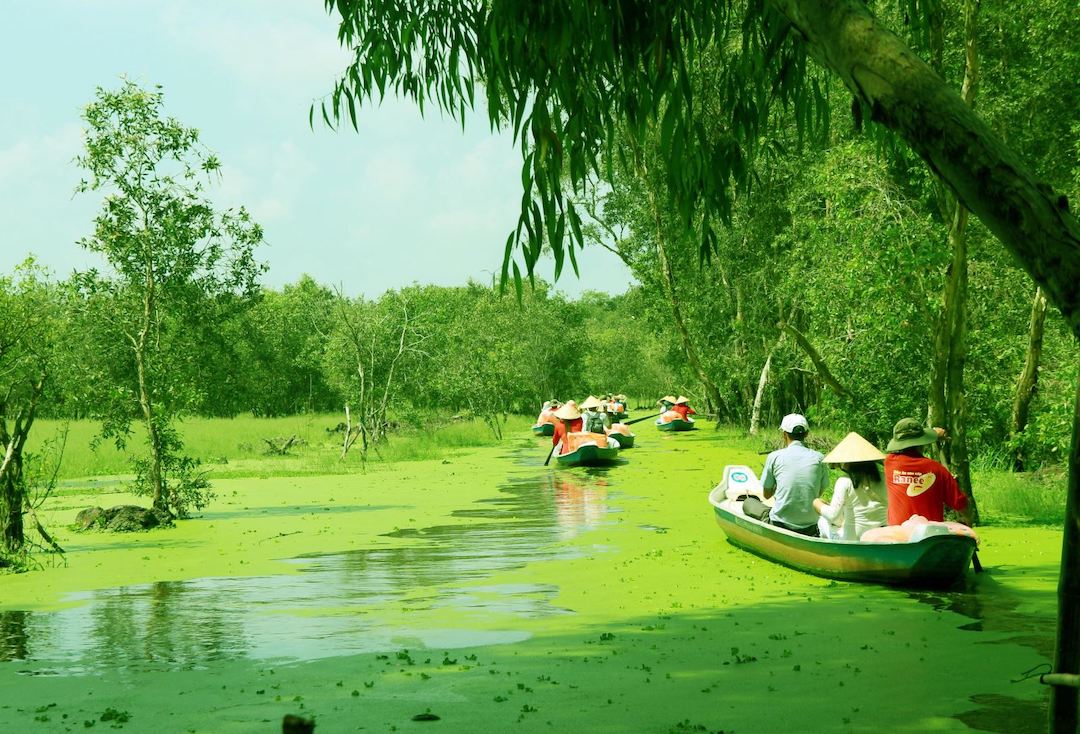 Hệ thực vật của rừng tràm Trà Sư (An Giang) mang tính đặc trưng của vùng ngập lũ Đồng bằng sông Cửu Long. Ảnh: TTXVN