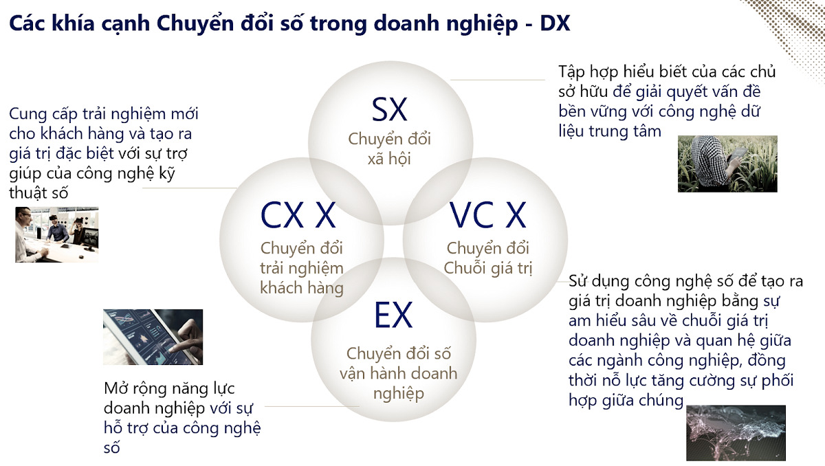 Hiệu quả từ những mô hình sản xuất kinh doanh giỏi  Chi tiết tin  Văn  phòng nông thôn mới