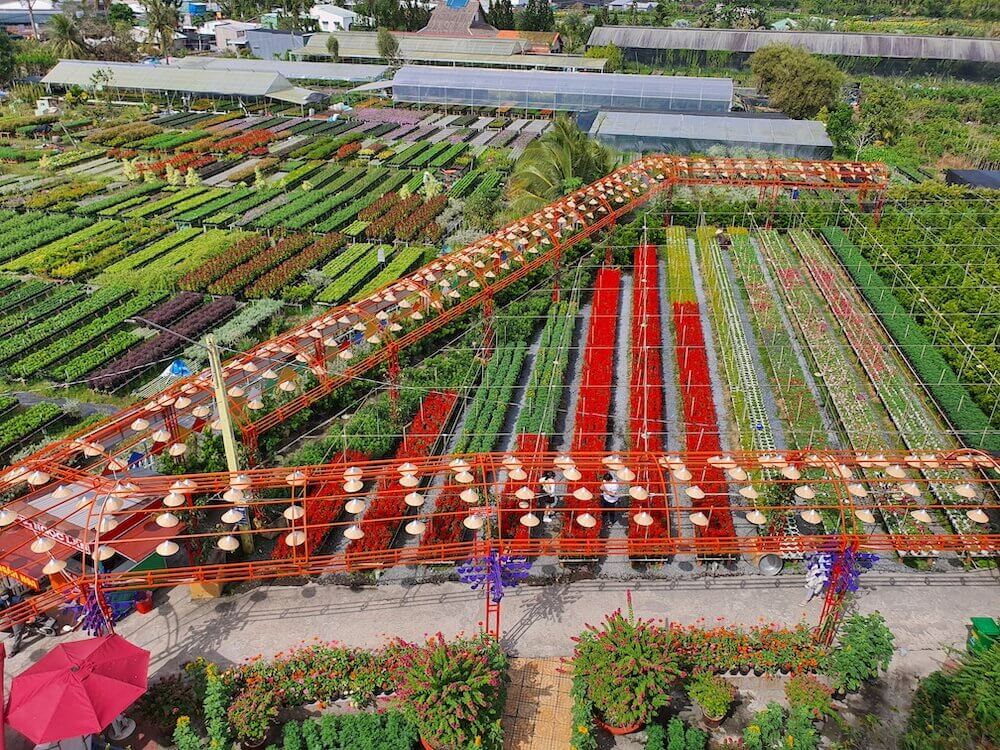 Hoạt động sản xuất hoa kiểng ở thành phố Sa Đéc, tỉnh Đồng Tháp có thêm 1.000 hộ tham gia sau chưa đầy một năm. Ảnh: Trung Chánh