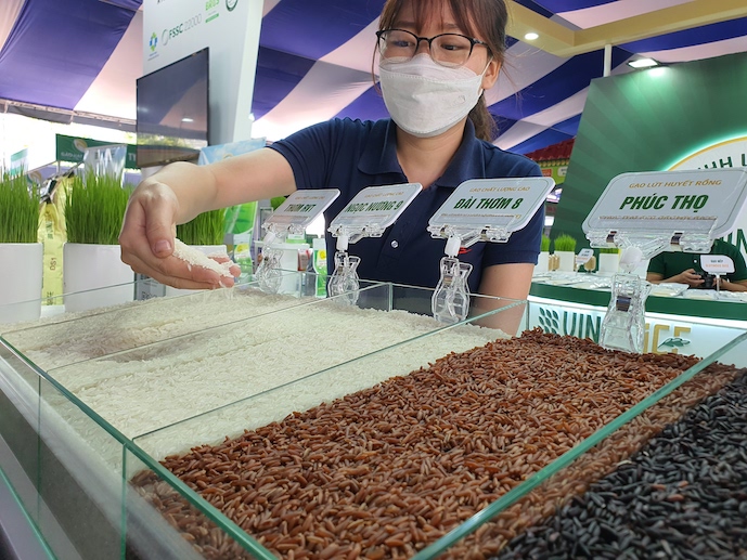 Năm 2024, hạn ngạch xuất khẩu gạo Hàn Quốc cấp cho Việt Nam là hơn 55.000 tấn. Ảnh: Trung Chánh