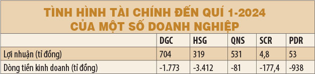 Lợi nhuận hay dòng tiền?