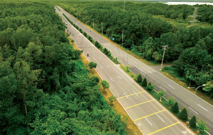 Đường vào Rừng Sác- Cần Giờ , nơi dự kiến xây Siêu cảng trung chuyển quốc tế Cần Giờ Ảnh: HP