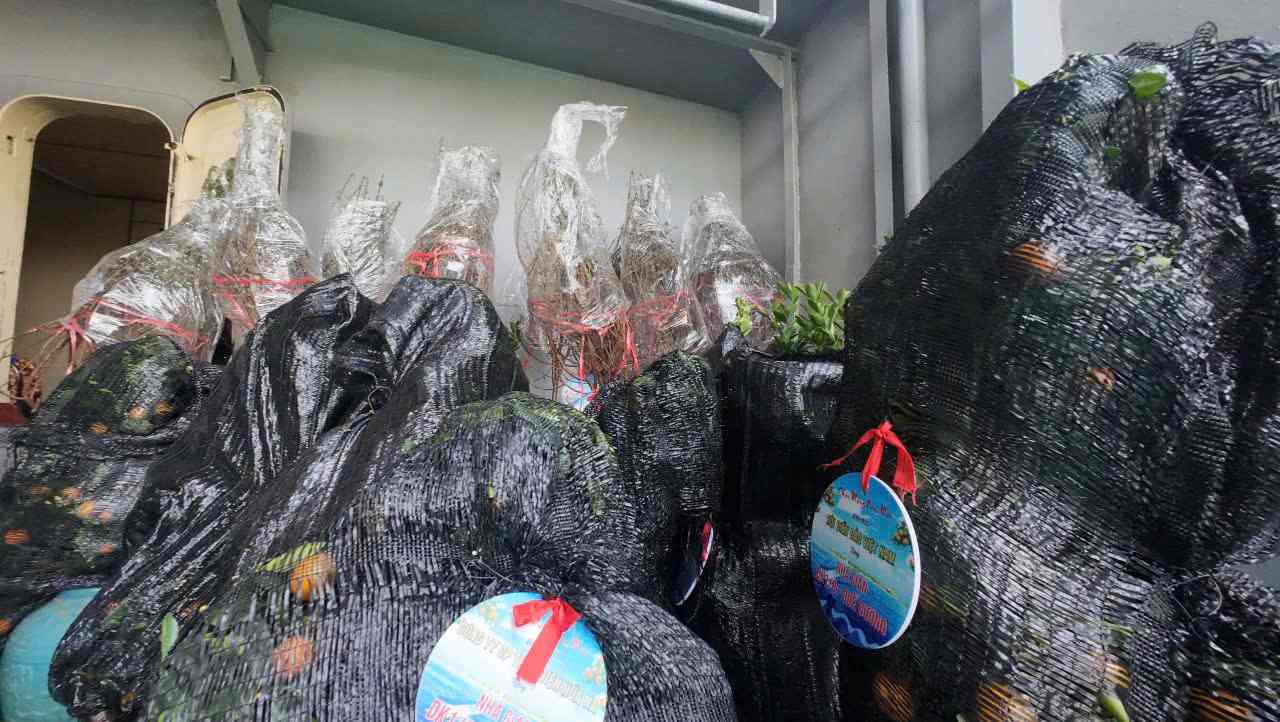 Nhiều món quà Tết cùng những cây mai, đào, quất được bọc cẩn thận trước khi chuyển lên tàu.